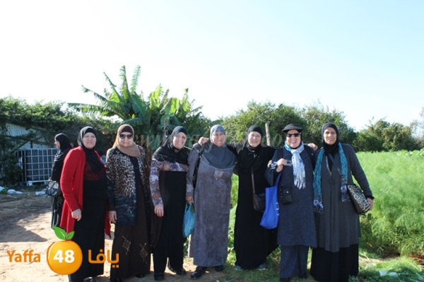 re7la tolkarem (5).JPG